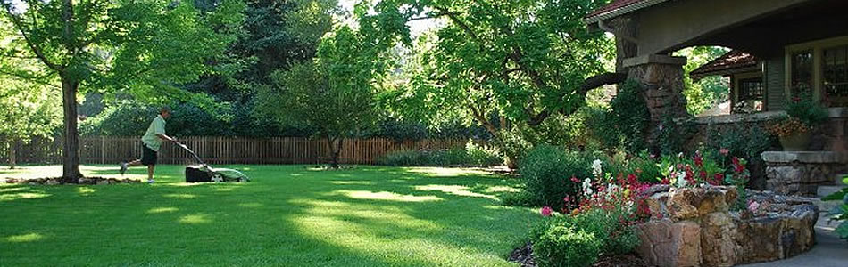 Lawn Care Home Slider 02