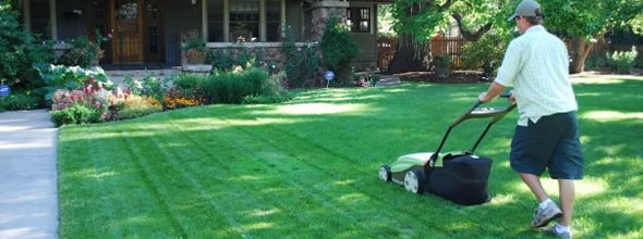 Lawn Care Services by Clean Air Lawn Care - Mowing
