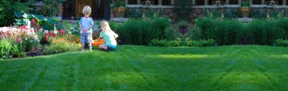 Organic Lawn Care - Clean Air Lawn Care